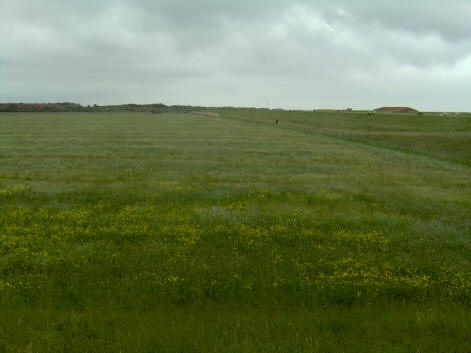 Norddeich Meeresperle - Ihr Urlaubsdomizil - Ferienwohnungen - Ostfriesland - Nordsee