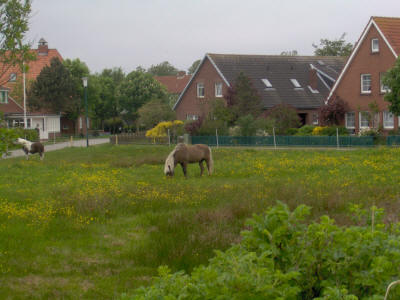 Norddeich Meeresperle - Ihr Urlaubsdomizil - Ferienwohnungen - Ostfriesland - Nordsee