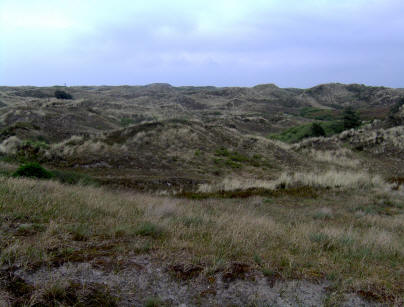 Norddeich Meeresperle - Ihr Urlaubsdomizil - Ferienwohnungen - Ostfriesland - Nordsee