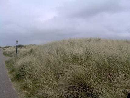 Norddeich Meeresperle - Ihr Urlaubsdomizil - Ferienwohnungen - Ostfriesland - Nordsee