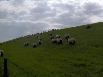 Norddeich Meeresperle - Ihr Urlaubsdomizil - Ferienwohnungen - Ostfriesland - Nordsee