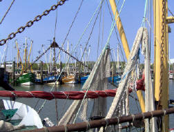 Norddeich Meeresperle - Ihr Urlaubsdomizil - Ferienwohnungen - Nordsee