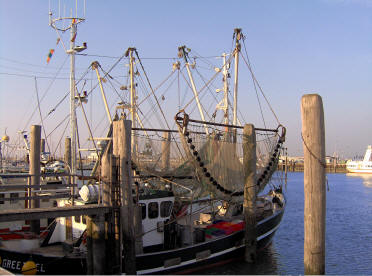 Norddeich Meeresperle - Ihr Urlaubsdomizil - Ferienwohnungen - Nordsee - Kutter