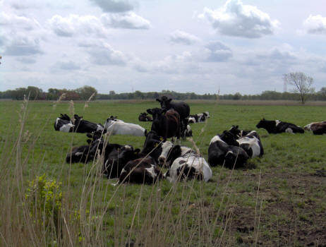 Norddeich Meeresperle - Ihr Urlaubsdomizil - Ferienwohnungen - Ostfriesland - Khe