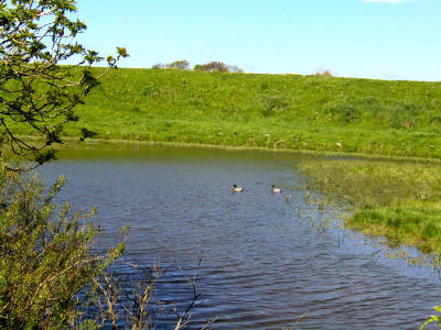 Norddeich Meeresperle - Ihr Urlaubsdomizil - Ferienwohnungen - Ostfriesland - Nordsee