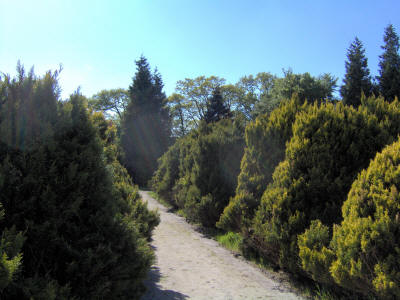 Norddeich Meeresperle - Ihr Urlaubsdomizil - Ferienwohnungen - Ostfriesland - Nordsee