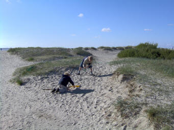 Norddeich Meeresperle - Ihr Urlaubsdomizil - Ferienwohnungen - Nordsee Sandstrand