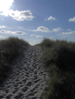 Norddeich Meeresperle - Ihr Urlaubsdomizil - Ferienwohnungen - Strand - Sand