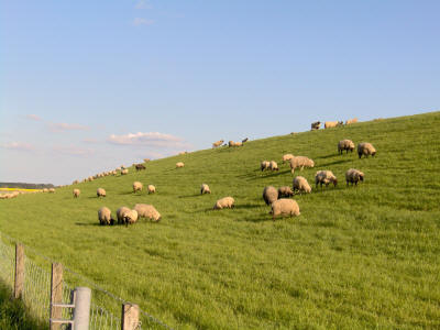 Norddeich Meeresperle - Ihr Urlaubsdomizil - Ferienwohnungen - Ostfriesland - Nordsee