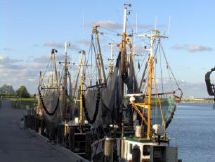 Norddeich Meeresperle - Ihr Urlaubsdomizil - Ferienwohnungen - Ostfriesland - Greetsiel