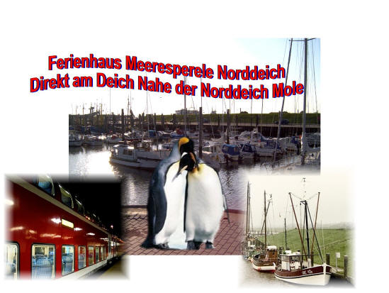 Norddeich Meeresperle - Ihr Urlaubsdomizil - Ferienwohnungen - Ostfriesland - Nordsee